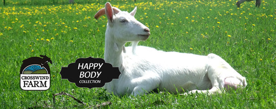 5 Benefits Of Goat Milk Soap