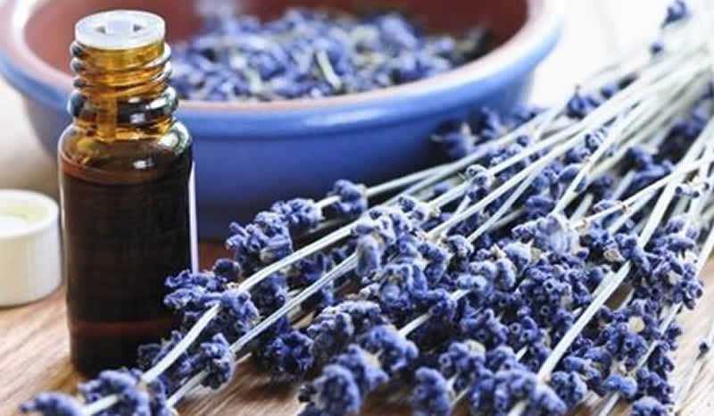 Organic essential Oil vs Organic fragrance Oil